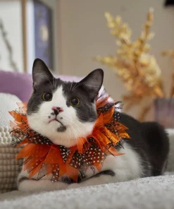 Frisco Cat Collar Ruffle Costume Accessory, One Size 10 Frisco Cat Collar Ruffle Costume Accessory, One Size -Dog Cat Corner 334842 PT7. SY630 V1657656879