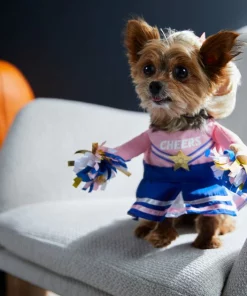 Frisco Cheerleader Dog & Cat Costume -Dog Cat Corner 334849 PT7. SY630 V1657719482