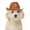 Frisco Cowboy Dog & Cat Costume Hat -Dog Cat Corner 334862 MAIN. SY630 V1658367570