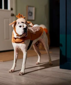 Frisco Deer Dog & Cat Costume 12 Frisco Deer Dog & Cat Costume -Dog Cat Corner 334873 PT7. SY630 V1659035214