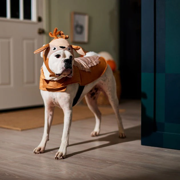 Frisco Deer Dog & Cat Costume 7 Frisco Deer Dog & Cat Costume - Image 5