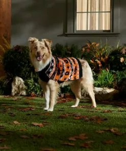 Frisco Fair Isle Pumpkin Dog & Cat Sweater -Dog Cat Corner 334922 PT7. SY630 V1659984178