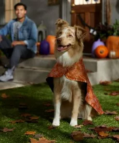 Frisco Spider Webbed Dog & Cat Costume Cape -Dog Cat Corner 334972 PT6. SY630 V1657729812