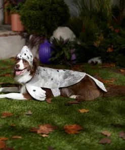 Frisco Seal Dog & Cat Costume -Dog Cat Corner 334980 PT7. SY630 V1657731231