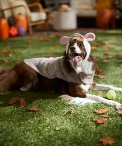 Frisco Hedgehog Dog & Cat Costume -Dog Cat Corner 334989 PT7. SY630 V1657656881