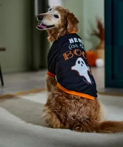 Frisco Here for the Boos Dog & Cat T-Shirt -Dog Cat Corner 335004 PT7. SY630 V1657657478