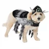 Frisco Spider Dog & Cat Costume -Dog Cat Corner 335012 MAIN. SY630 V1658716905