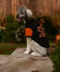 Frisco Little Beast Dog & Cat T-Shirt 12 Frisco Little Beast Dog & Cat T-Shirt -Dog Cat Corner 335021 PT7. SY630 V1657720507