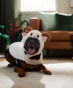 Frisco Sheep Dog & Cat Costume -Dog Cat Corner 335037 PT7. SY630 V1657728686