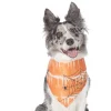 Frisco Orange Spiderweb Dog & Cat Costume Bandana