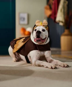 Frisco Owl Dog & Cat Costume 14 Frisco Owl Dog & Cat Costume -Dog Cat Corner 335049 PT7. SY630 V1657718971