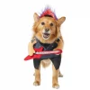 Frisco Punk Rocker Dog & Cat Costume -Dog Cat Corner 335082 MAIN. SY630 V1658345611