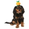Frisco Pumpkin Headband Dog & Cat Costume Accessory -Dog Cat Corner 335090 MAIN. SY630 V1658349060