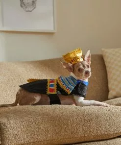 Frisco Royal Pharoah Dog & Cat Costume -Dog Cat Corner 335113 PT7. SY630 V1659537098