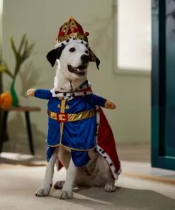 Frisco Front Walking Royal King Dog & Cat Costume -Dog Cat Corner 335122 PT7. SY630 V1657718739