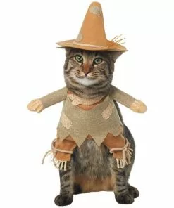 Frisco Front Walking Scarecrow Dog & Cat Costume -Dog Cat Corner 335133 PT2. SY630 V1658348508