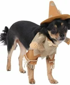 Frisco Front Walking Scarecrow Dog & Cat Costume -Dog Cat Corner 335133 PT3. SY630 V1658349119