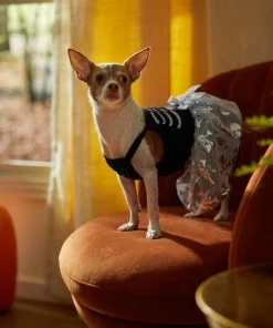 Frisco Silver Metallic Skull Dog & Cat Dress -Dog Cat Corner 335153 PT7. SY630 V1657719483