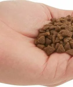 ACANA||Frisco ACANA First Feast Kitten Dry Cat Food + Frisco Multi-Cat Unscented Clumping Clay Litter -Dog Cat Corner 338643 PT3. SY630 V1635909934