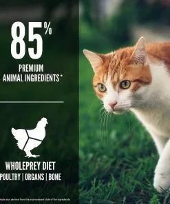 ORIJEN||Frisco ORIJEN Fit & Trim Grain-Free Dry Food + Frisco Colorful Springs Cat Toy -Dog Cat Corner 338697 PT4. SY630 V1635896619