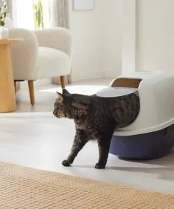 Frisco Modern Hooded Cat Litter Box