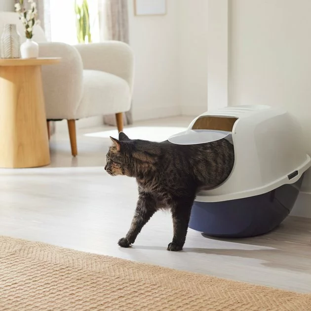 Frisco Modern Hooded Cat Litter Box 2 Frisco Modern Hooded Cat Litter Box